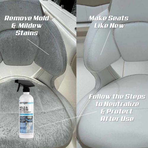 Mold & Mildew Stain Remover