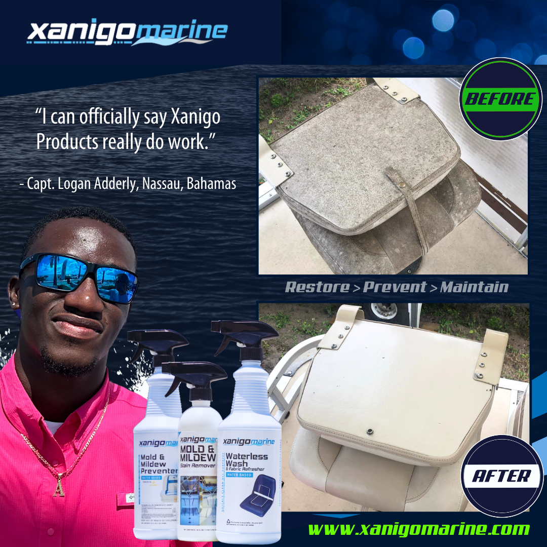 Xanigo Marine Waterless Wash Case (4 Quarts)